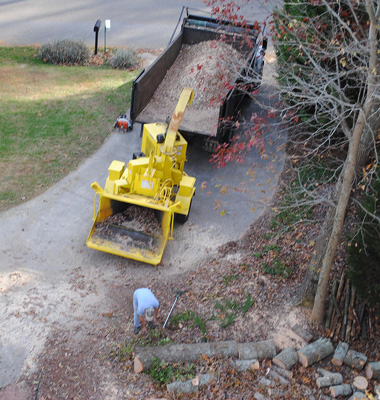 Tree-Removal-Clean-Up