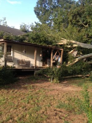 Storm Damage Clean-Up Services